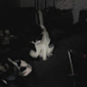 Meet your Posher, Abbigail